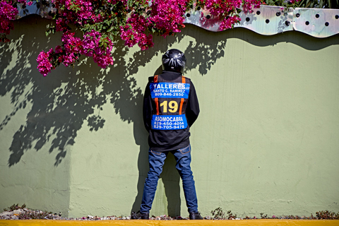 cabbie pissing on wall with flowers in dominican republic