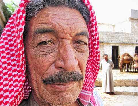 camel butcher damascus syria