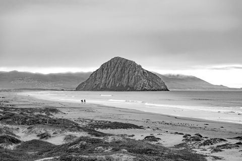Rock and horses California coast